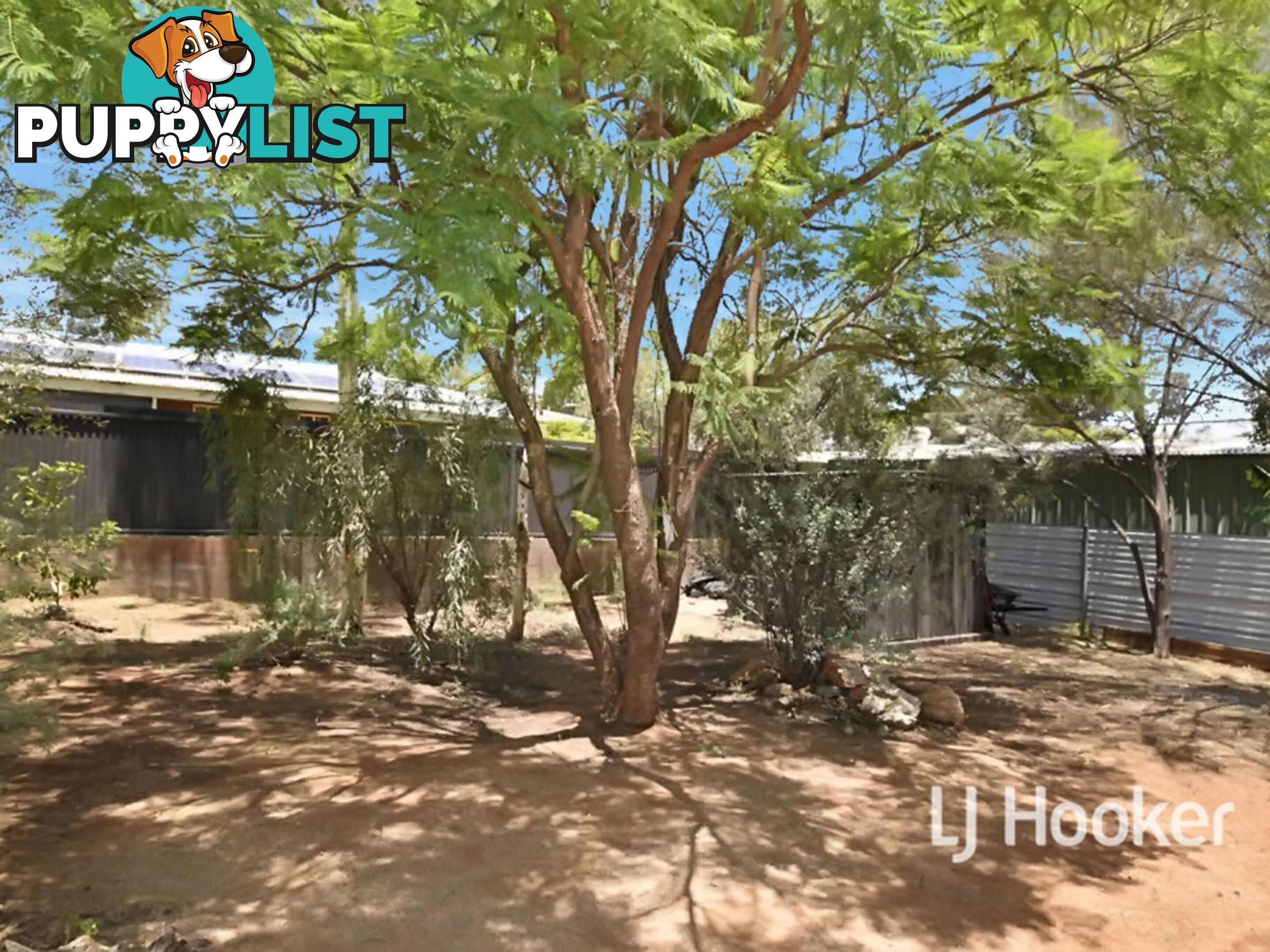 57 Patterson Crescent LARAPINTA NT 0875