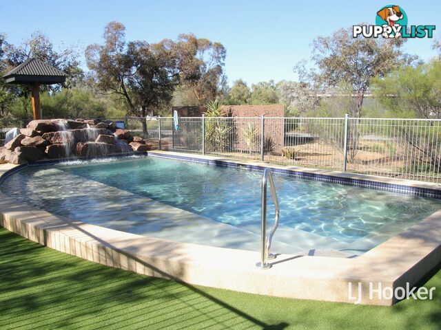 68 Petrick Road CONNELLAN NT 0873