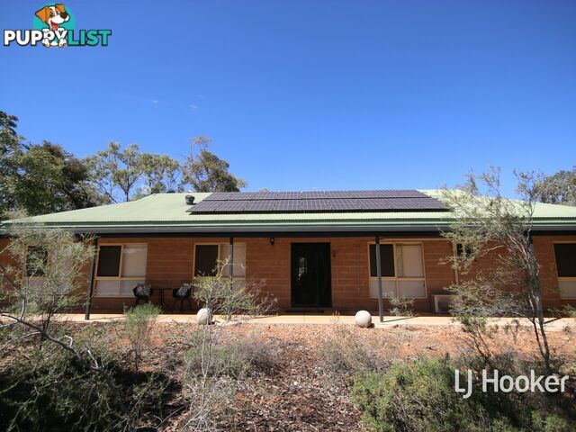 68 Petrick Road CONNELLAN NT 0873