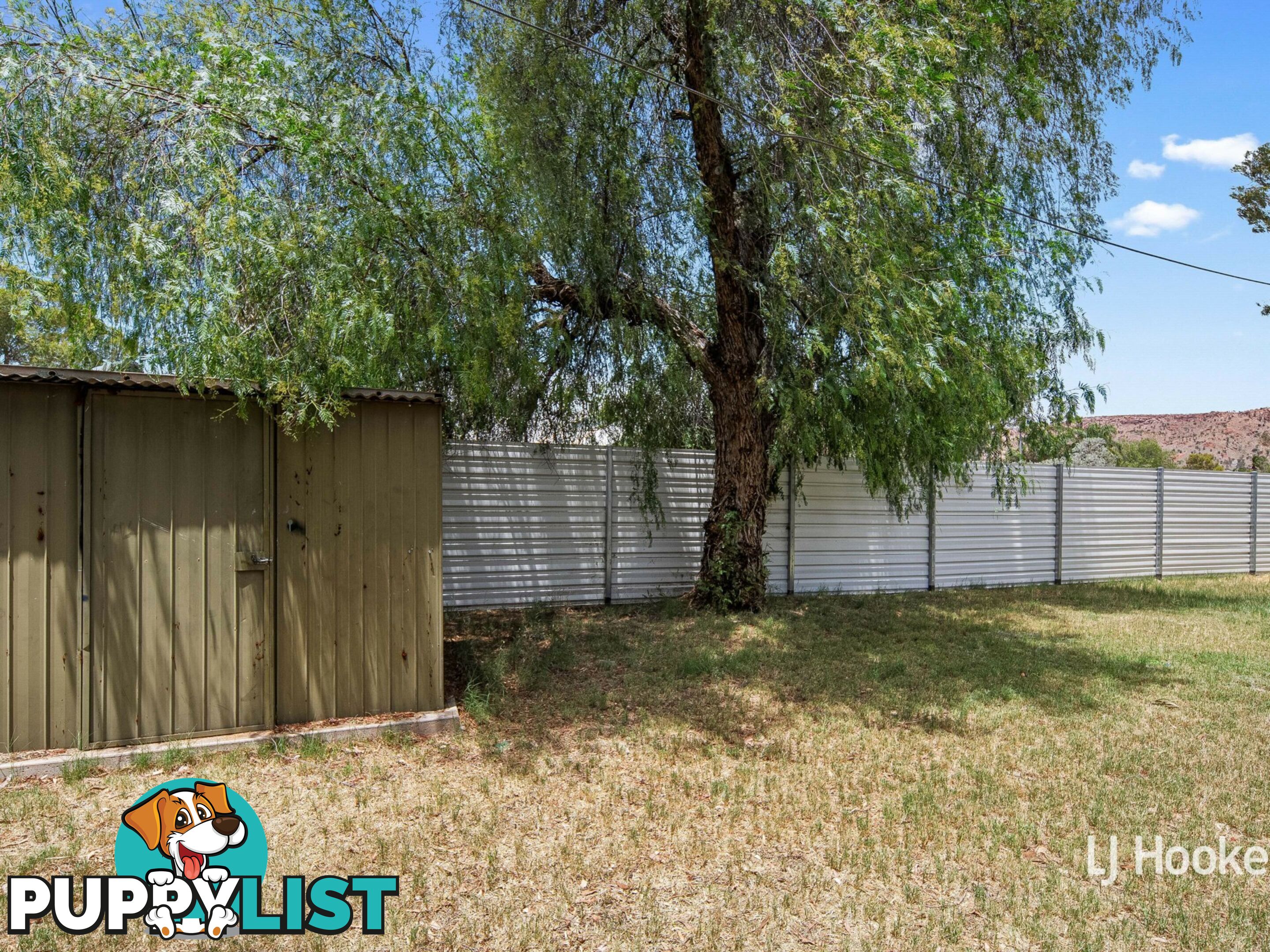 44 Albrecht Drive LARAPINTA NT 0875