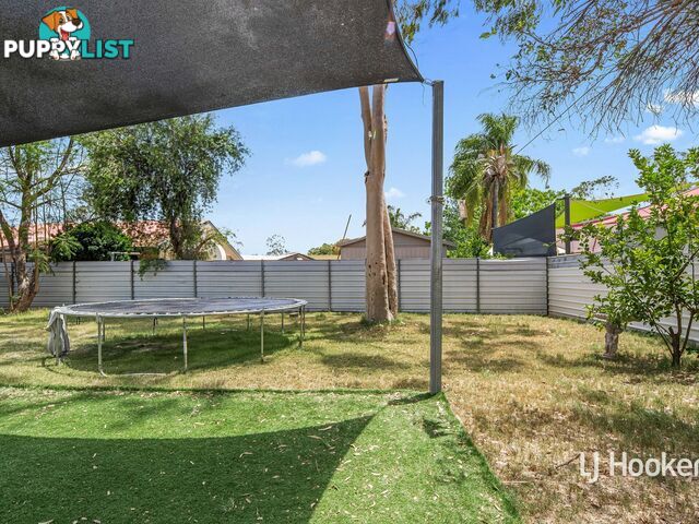 44 Albrecht Drive LARAPINTA NT 0875