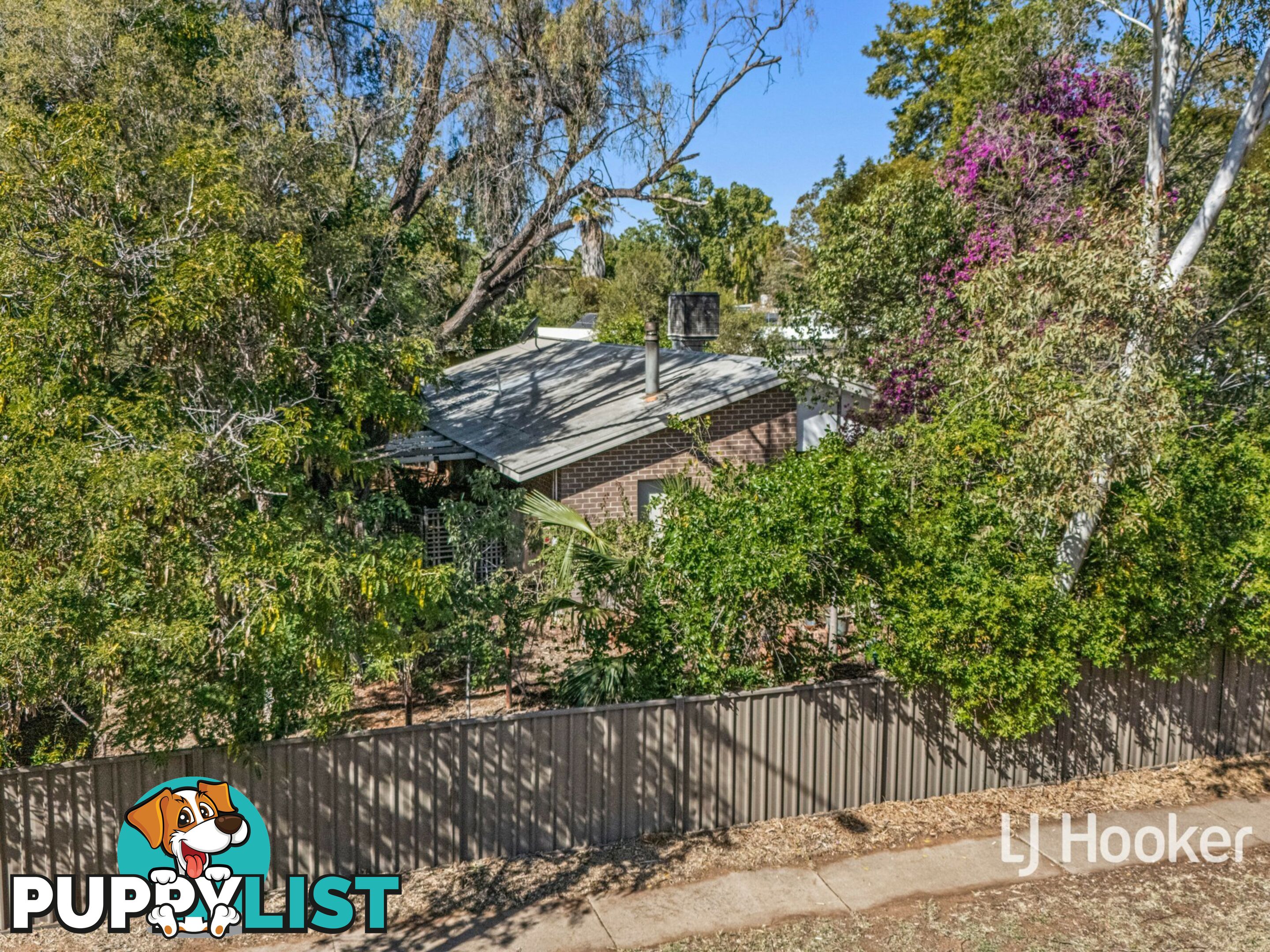 9 Coolibah Crescent EAST SIDE NT 0870