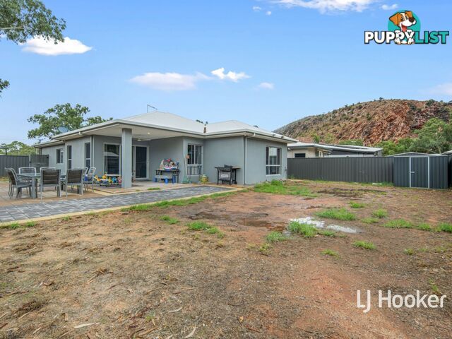 18 Bonanni  Circuit ROSS NT 0873