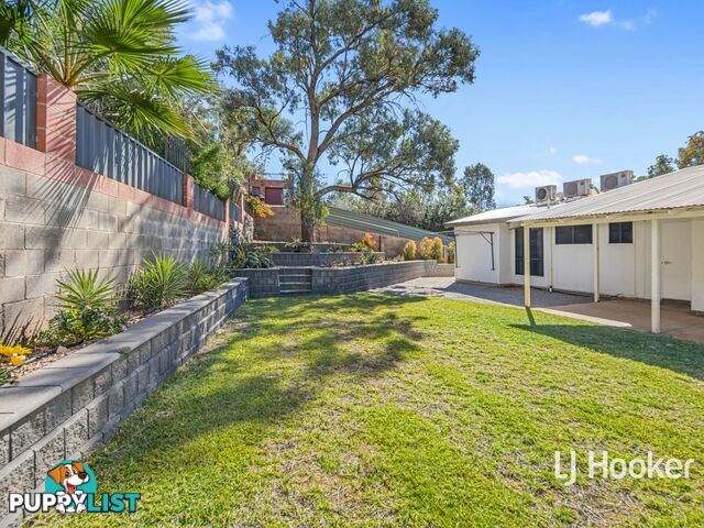 19 Zeil Street ARALUEN NT 0870