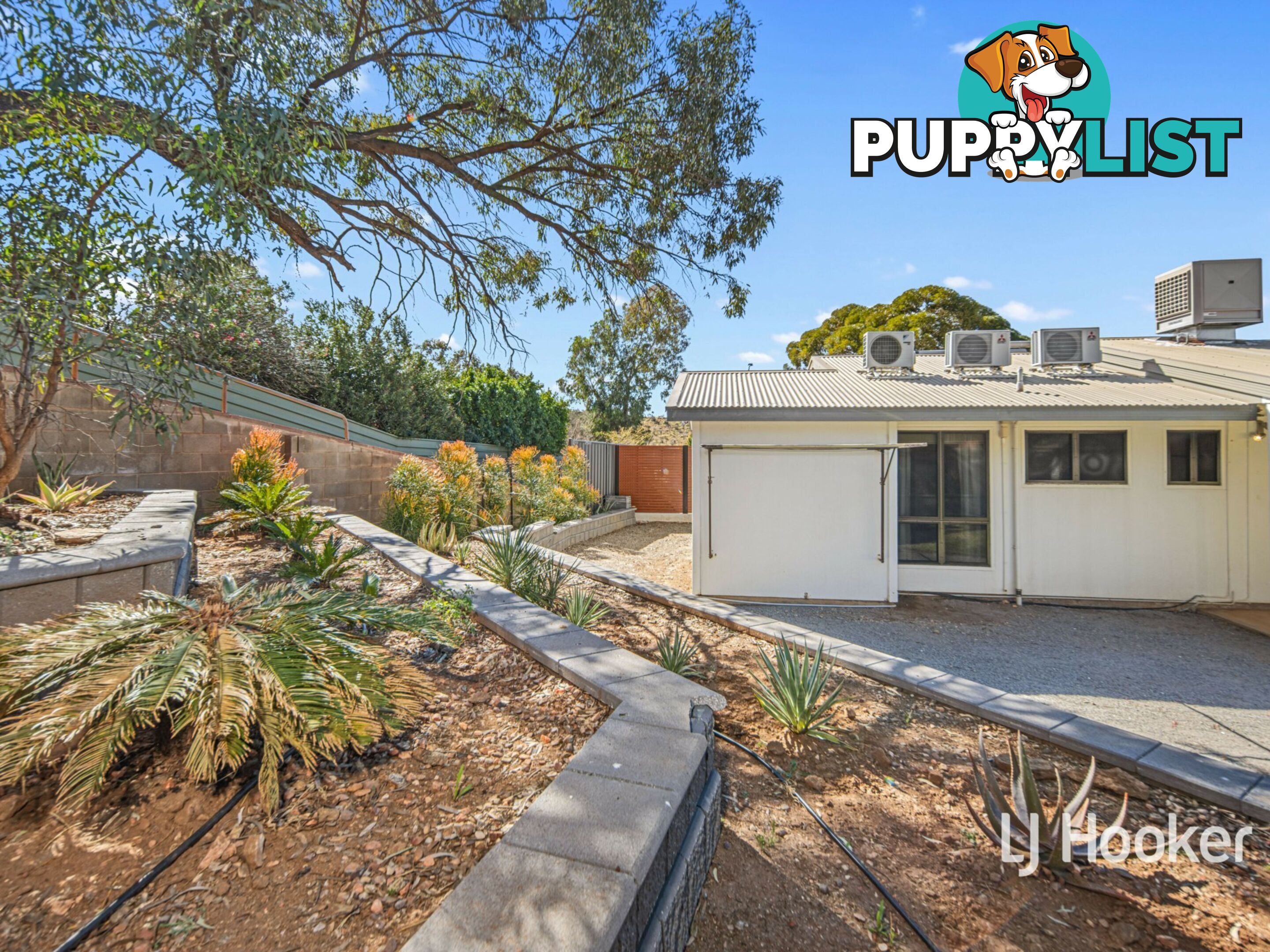 19 Zeil Street ARALUEN NT 0870