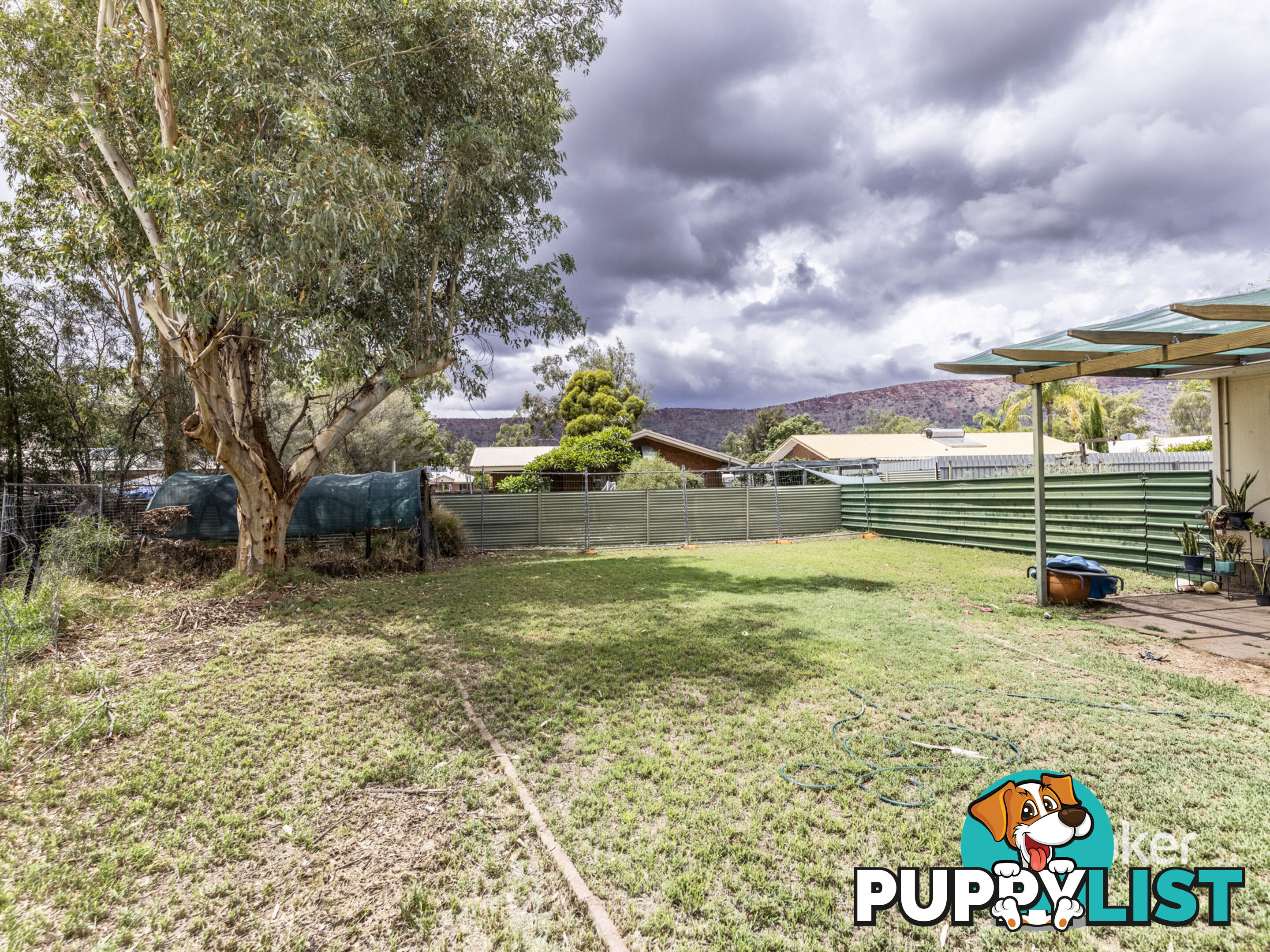 31 Gilbert Place LARAPINTA NT 0875