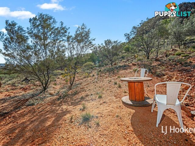 25 Butler Road ILPARPA NT 0873