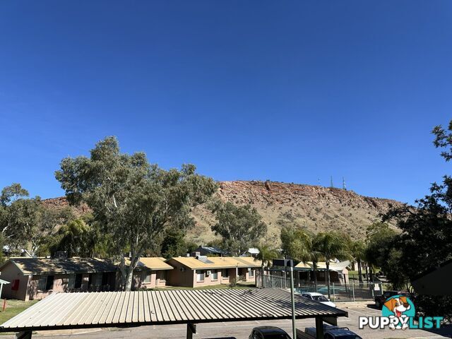 88/111 Bloomfield Street GILLEN NT 0870