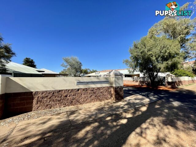 3/91 Lyndavale Drive LARAPINTA NT 0875