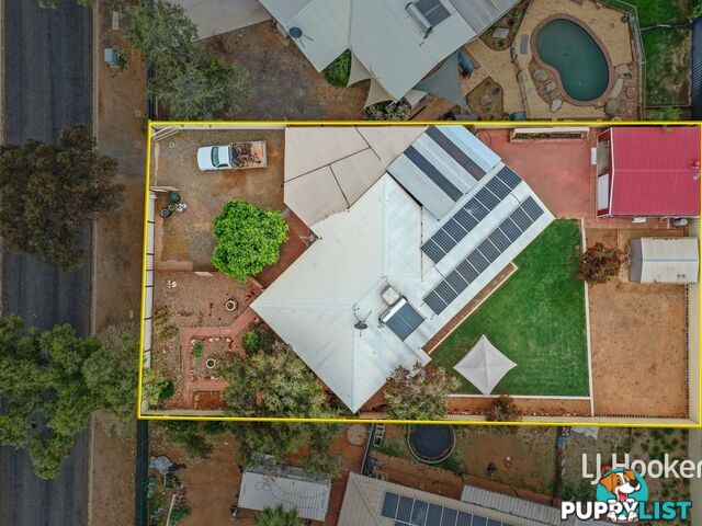 3 Holtermann Court LARAPINTA NT 0875