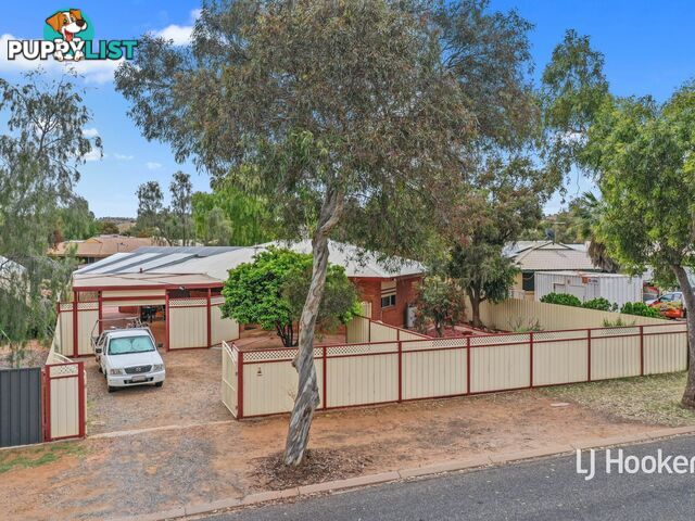 3 Holtermann Court LARAPINTA NT 0875