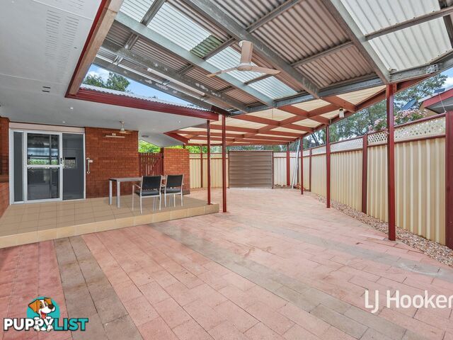 3 Holtermann Court LARAPINTA NT 0875