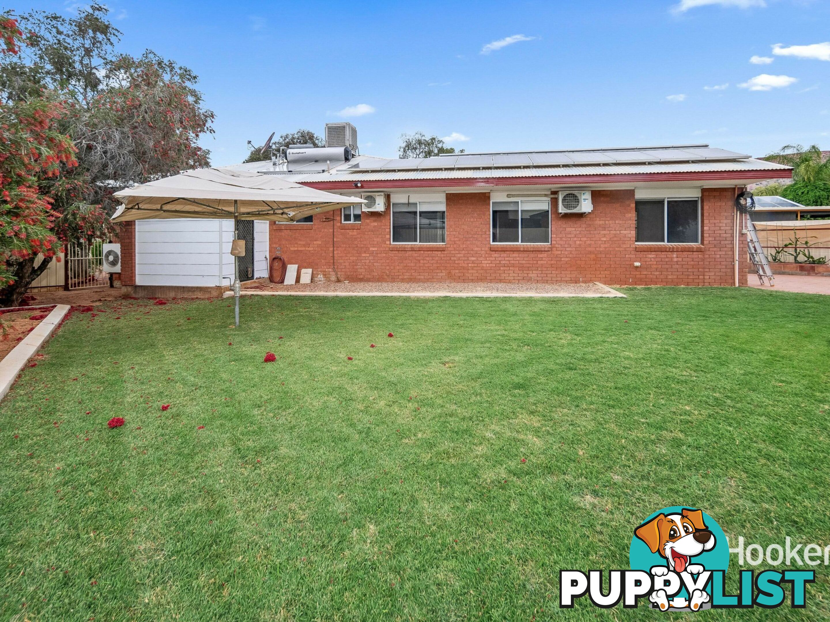 3 Holtermann Court LARAPINTA NT 0875