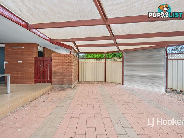 3 Holtermann Court LARAPINTA NT 0875