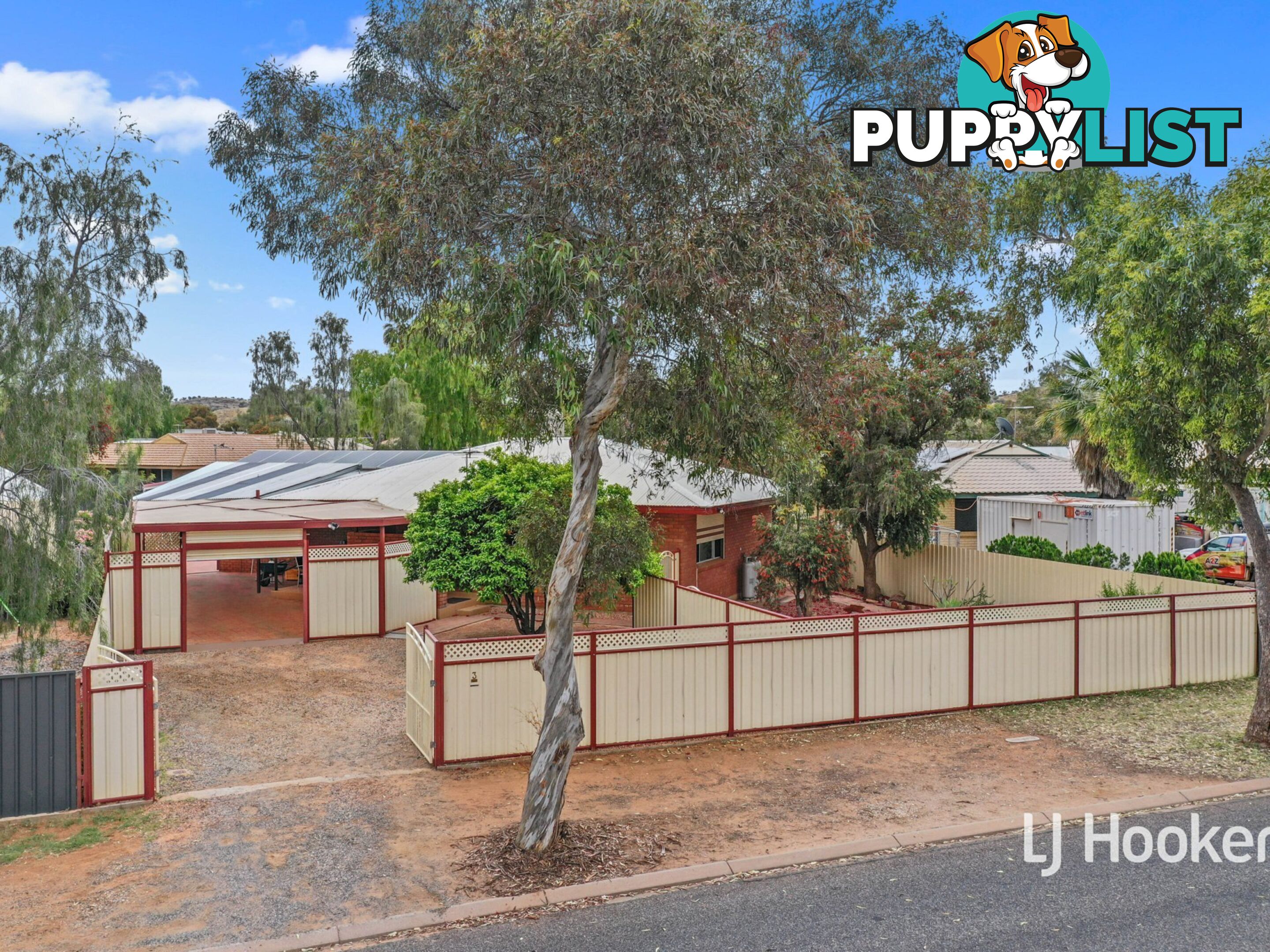 3 Holtermann Court LARAPINTA NT 0875