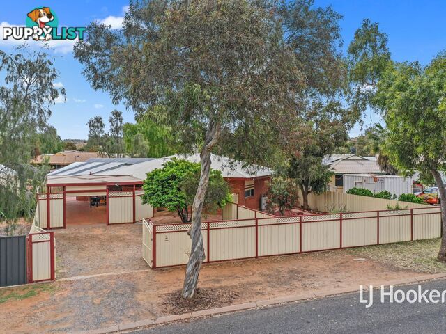 3 Holtermann Court LARAPINTA NT 0875