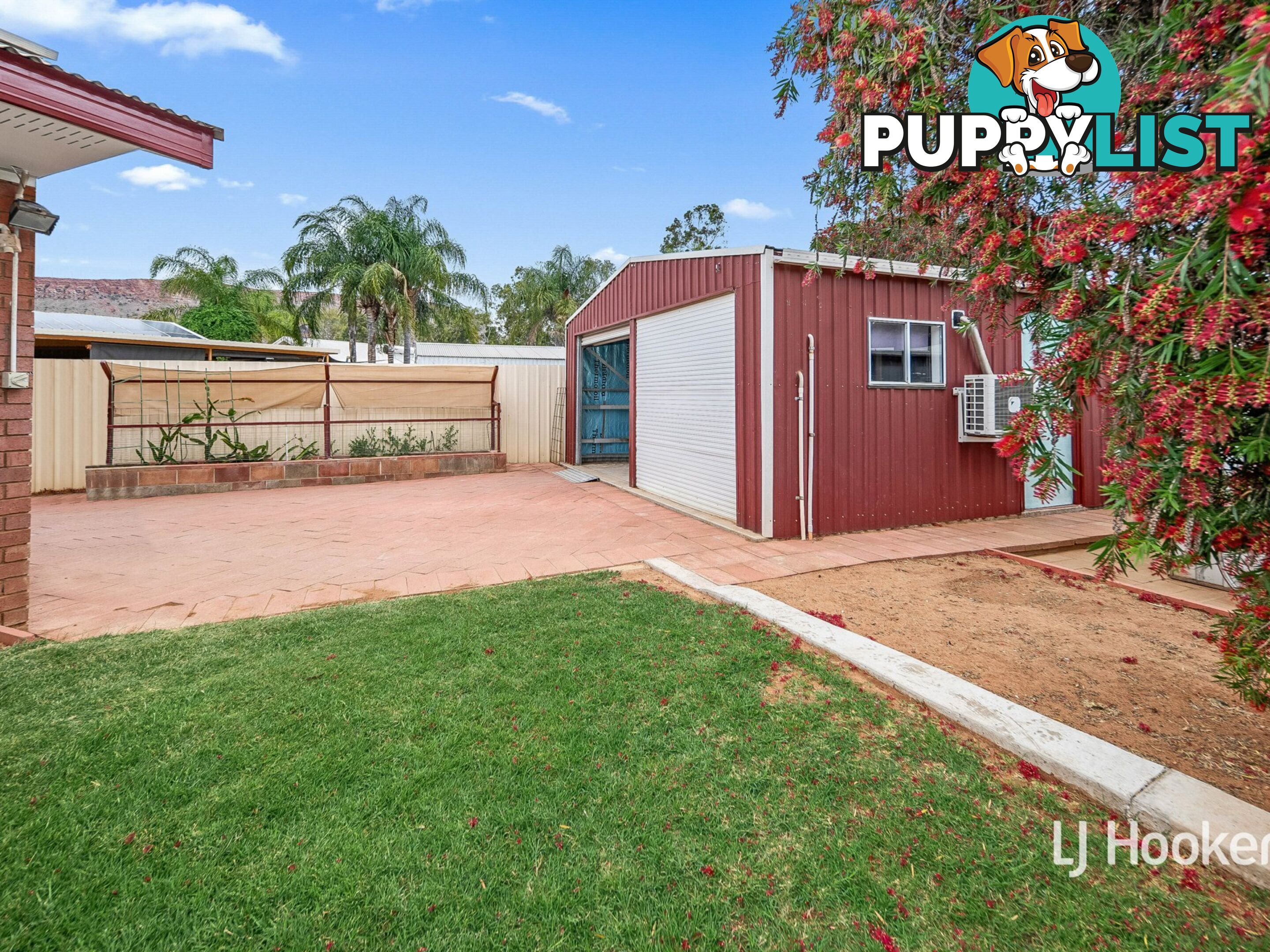 3 Holtermann Court LARAPINTA NT 0875