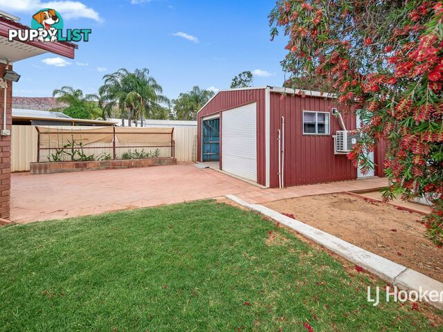 3 Holtermann Court LARAPINTA NT 0875