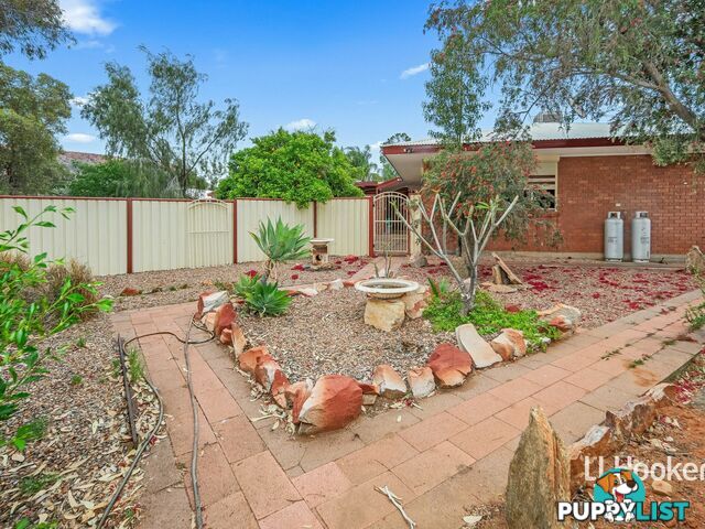 3 Holtermann Court LARAPINTA NT 0875