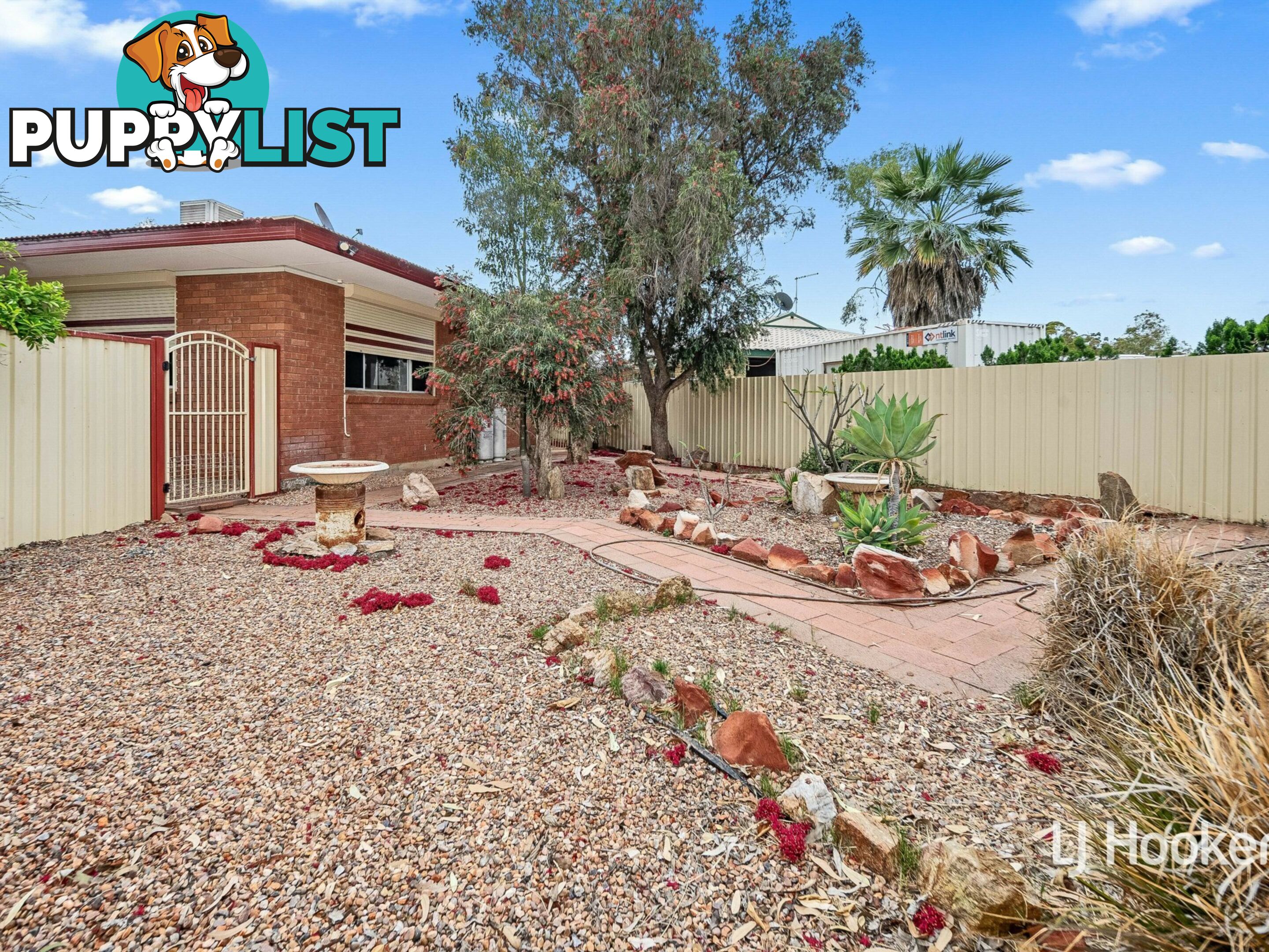 3 Holtermann Court LARAPINTA NT 0875