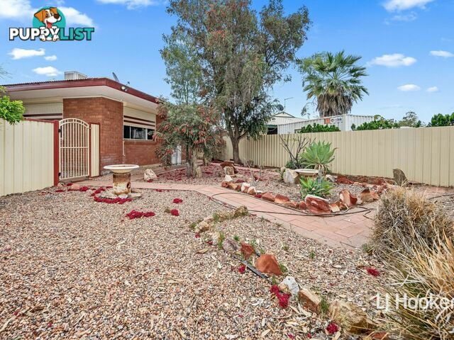 3 Holtermann Court LARAPINTA NT 0875