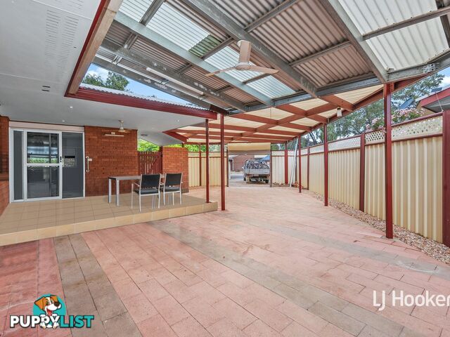 3 Holtermann Court LARAPINTA NT 0875