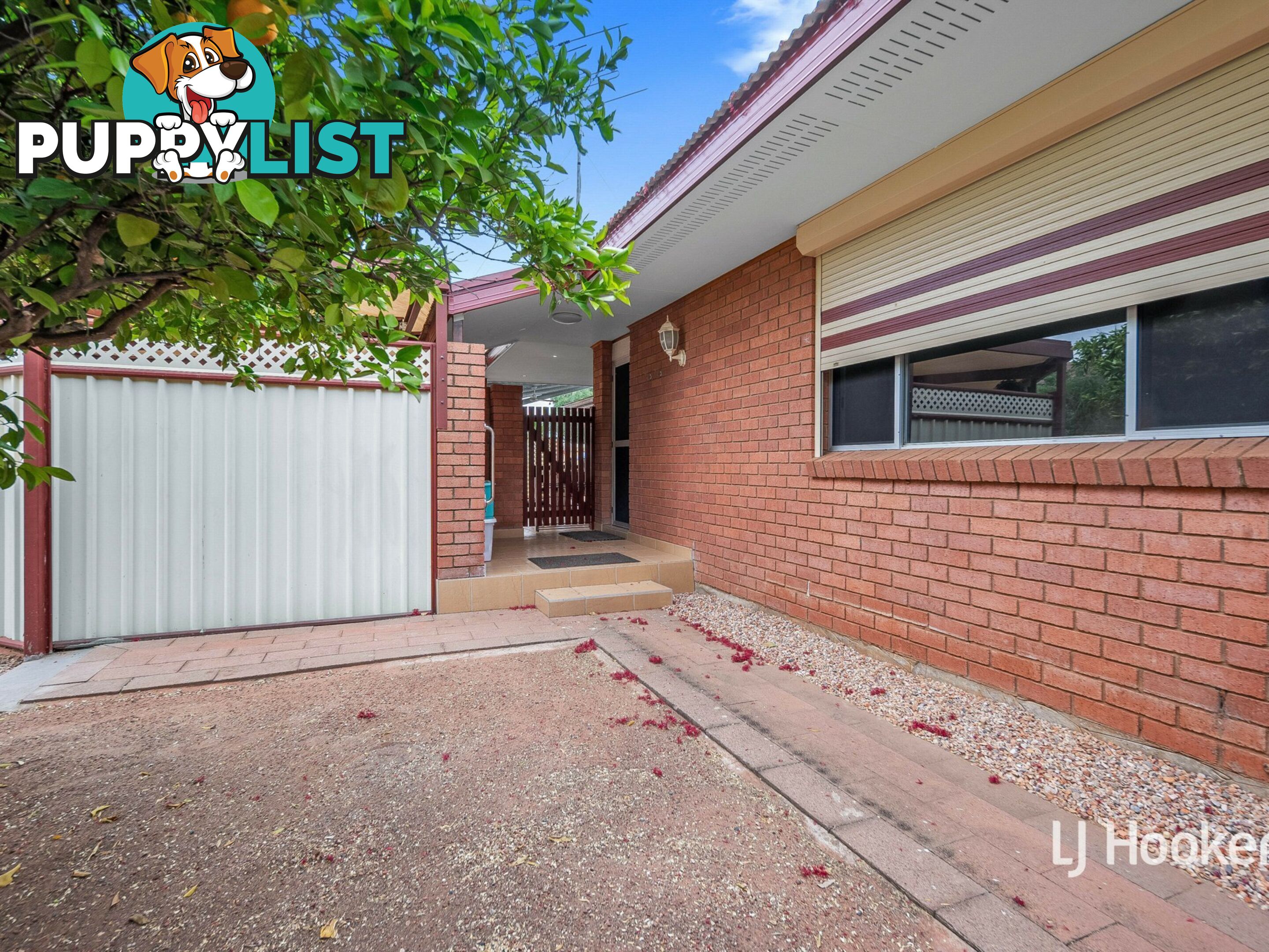 3 Holtermann Court LARAPINTA NT 0875