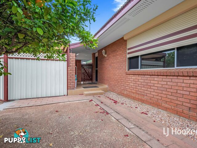 3 Holtermann Court LARAPINTA NT 0875