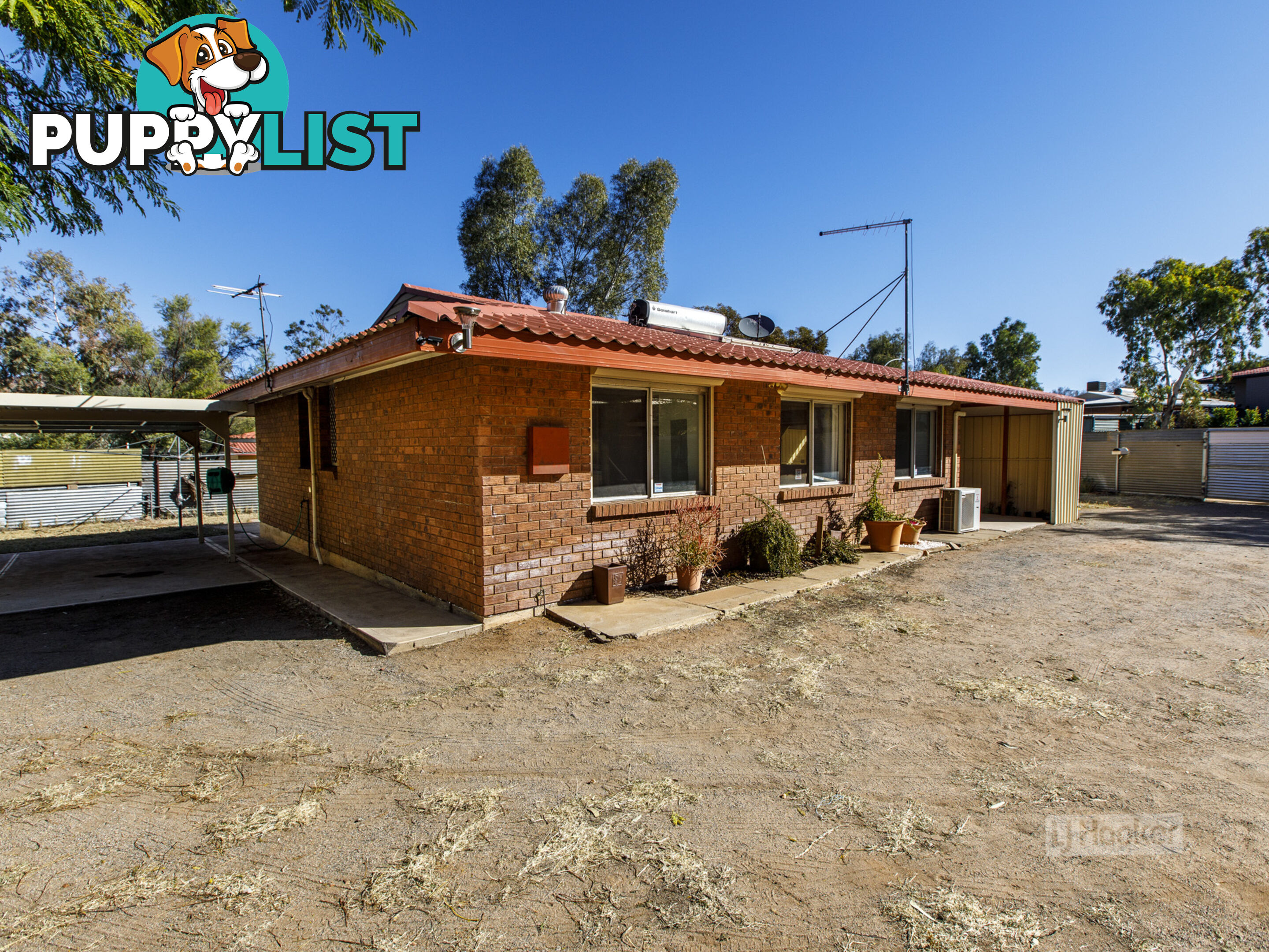 6 Saltwell Street LARAPINTA NT 0875