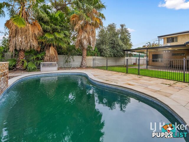 36 Poeppel Gardens GILLEN NT 0870