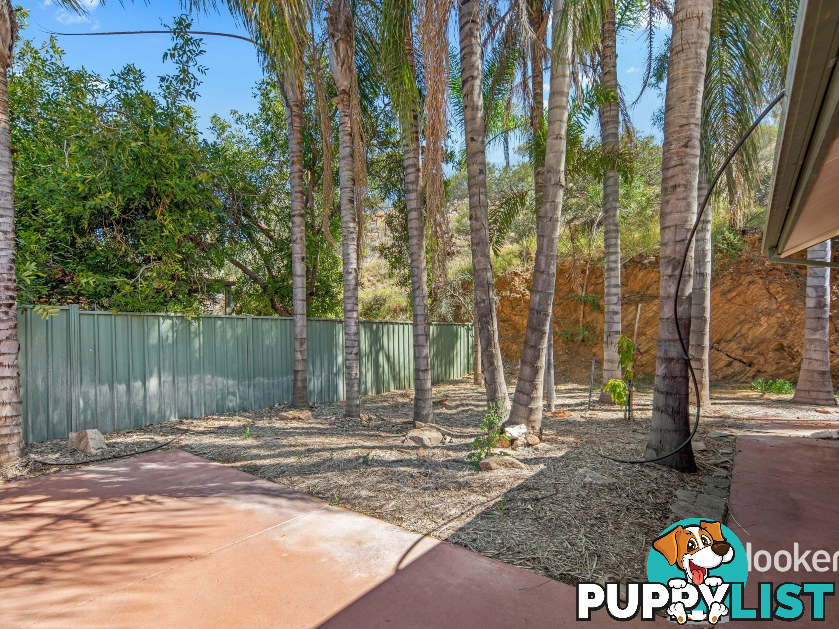 11 Terry Court ARALUEN NT 0870