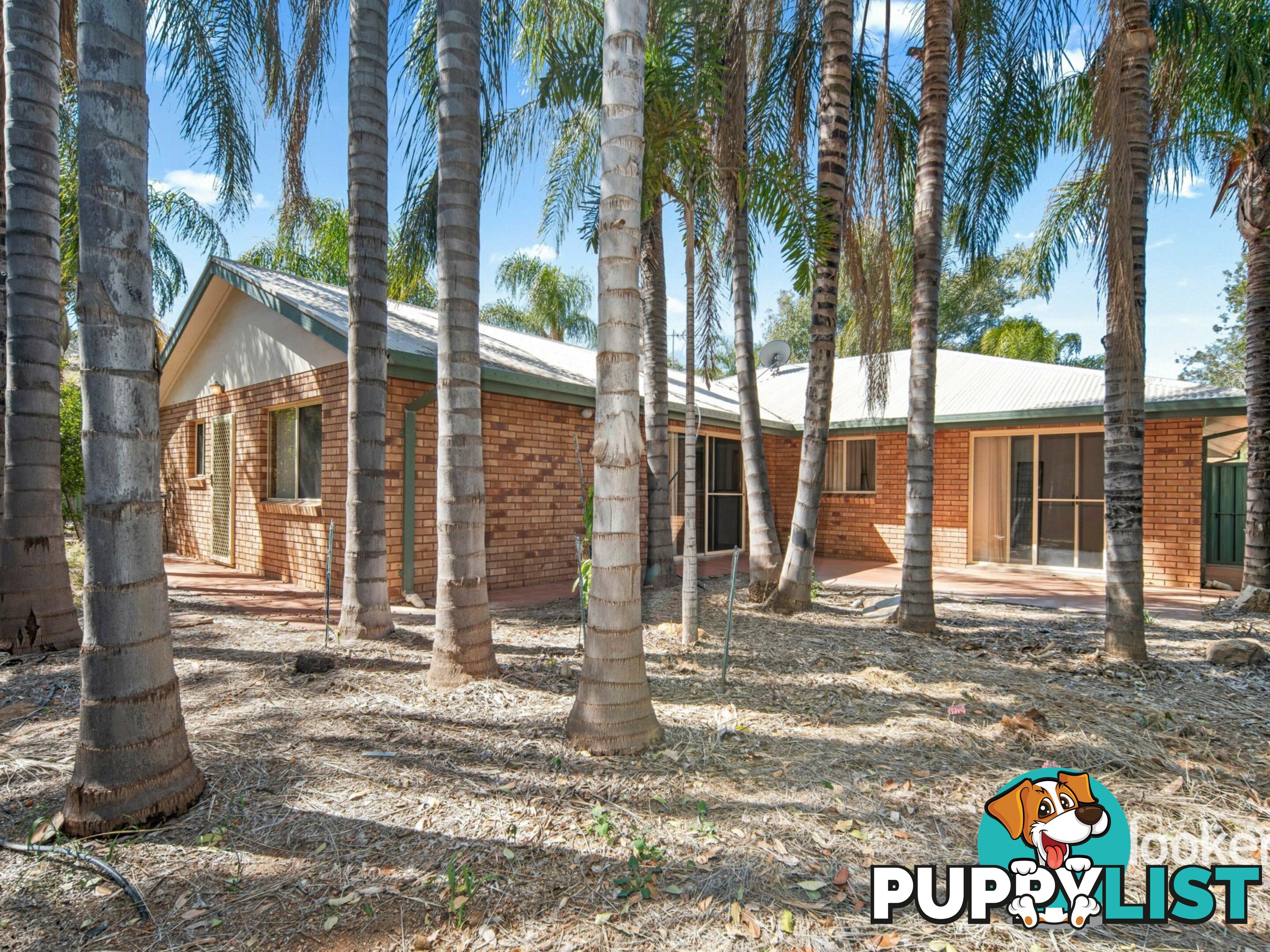 11 Terry Court ARALUEN NT 0870