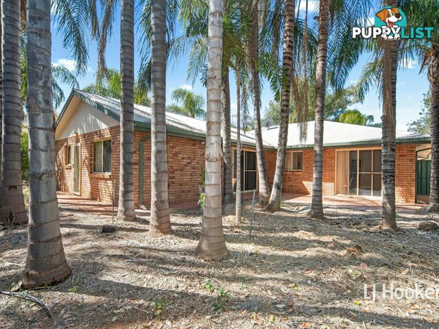 11 Terry Court ARALUEN NT 0870