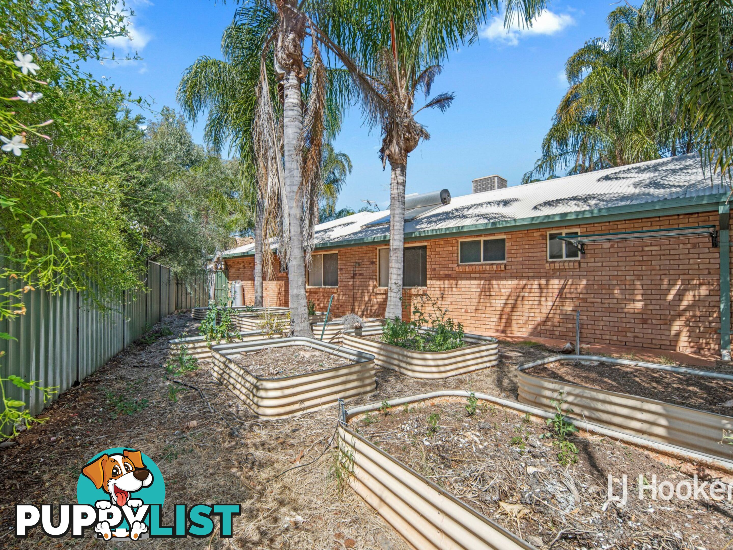 11 Terry Court ARALUEN NT 0870