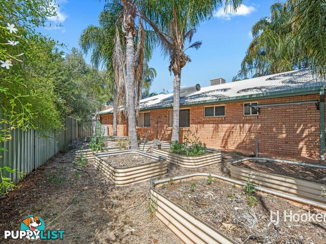 11 Terry Court ARALUEN NT 0870