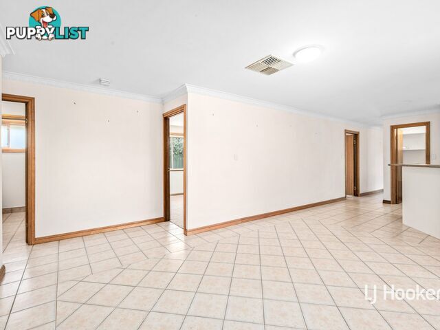 11 Terry Court ARALUEN NT 0870