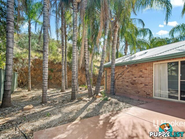 11 Terry Court ARALUEN NT 0870