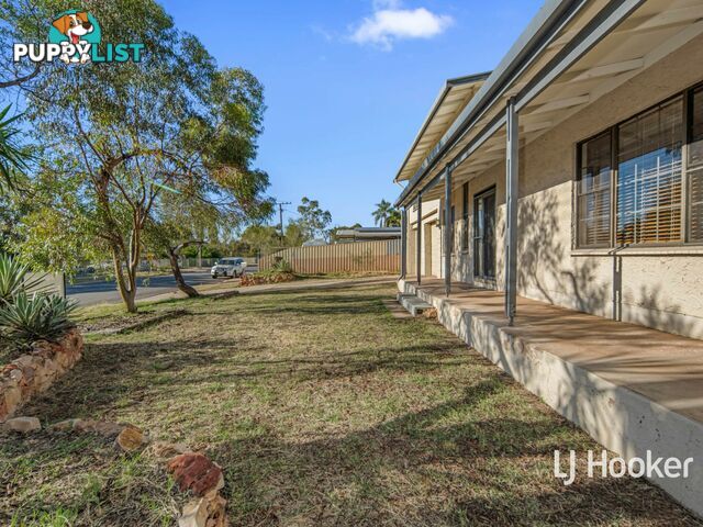 131 Woods Terrace BRAITLING NT 0870
