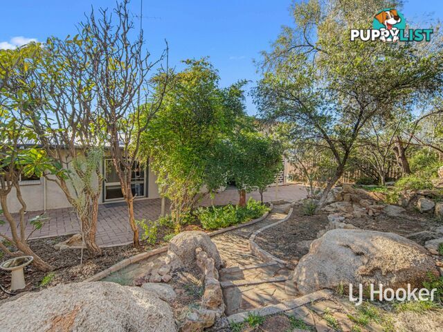 131 Woods Terrace BRAITLING NT 0870
