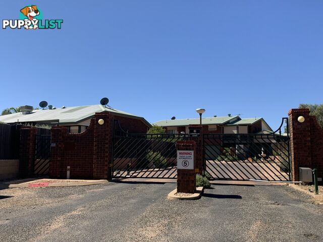 14/6 Caterpillar Court DESERT SPRINGS NT 0870