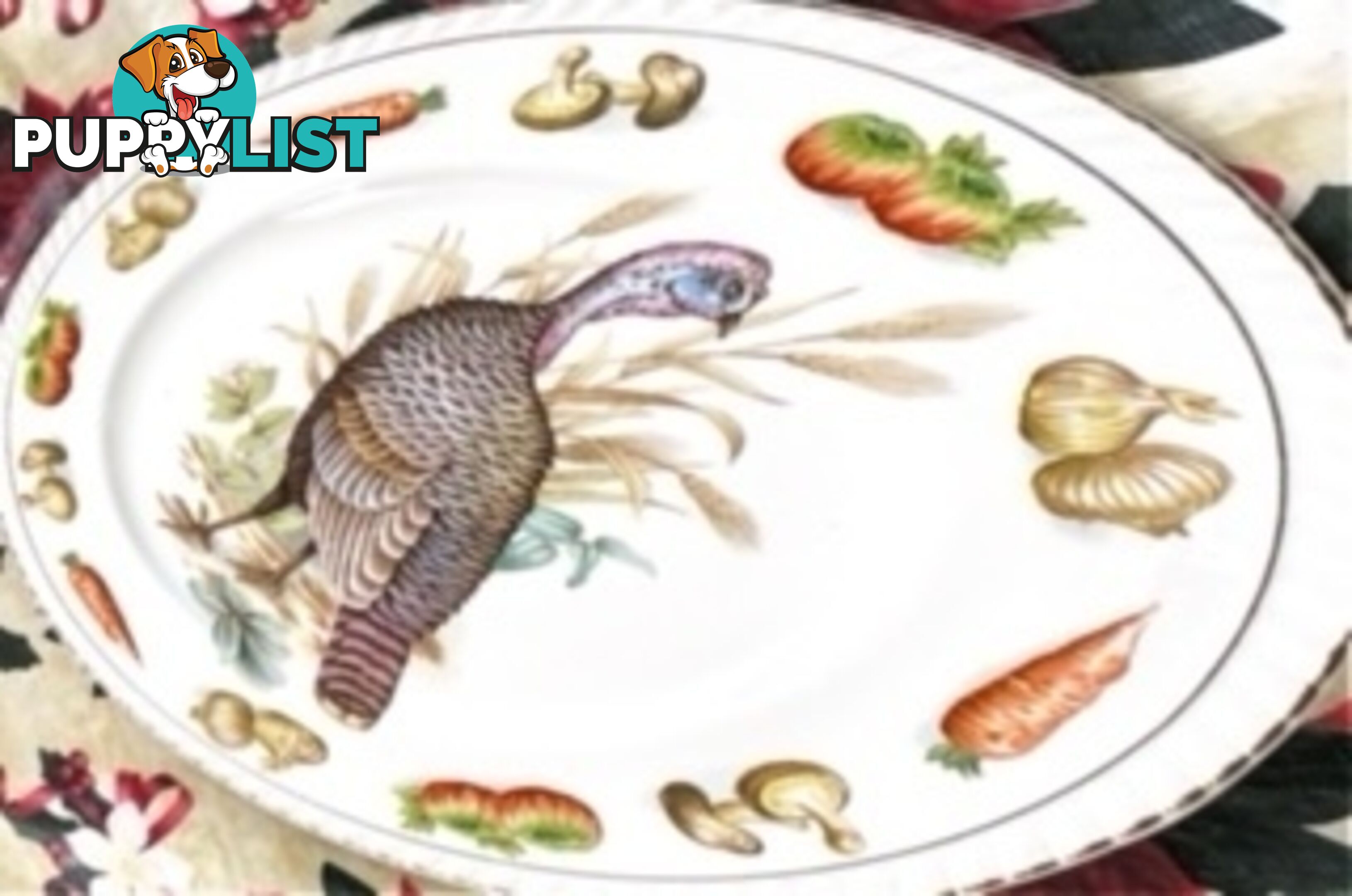 VINTAGE CHRISTMAS PLATES - TURKEY DESIGNS