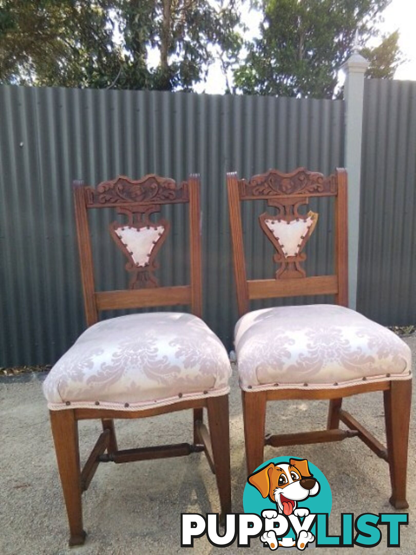 Pair of fully restored antique chairs