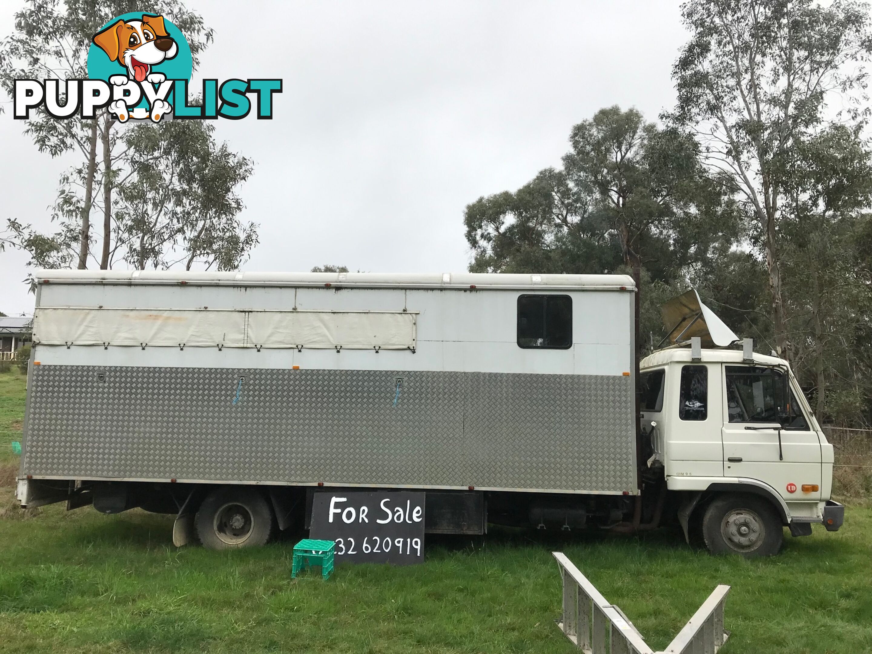 1986 International N Series Horse Truck