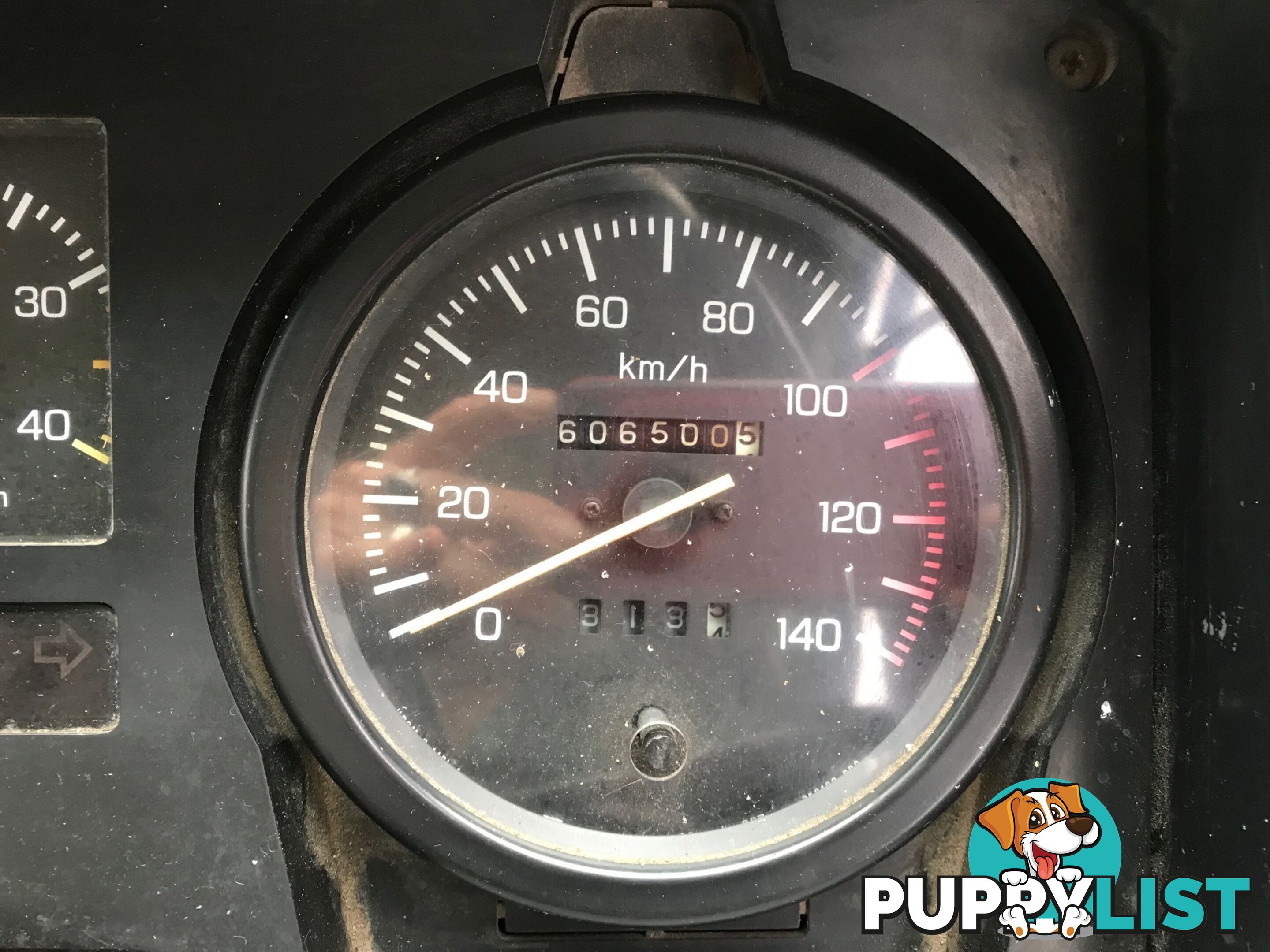 1986 International N Series Horse Truck