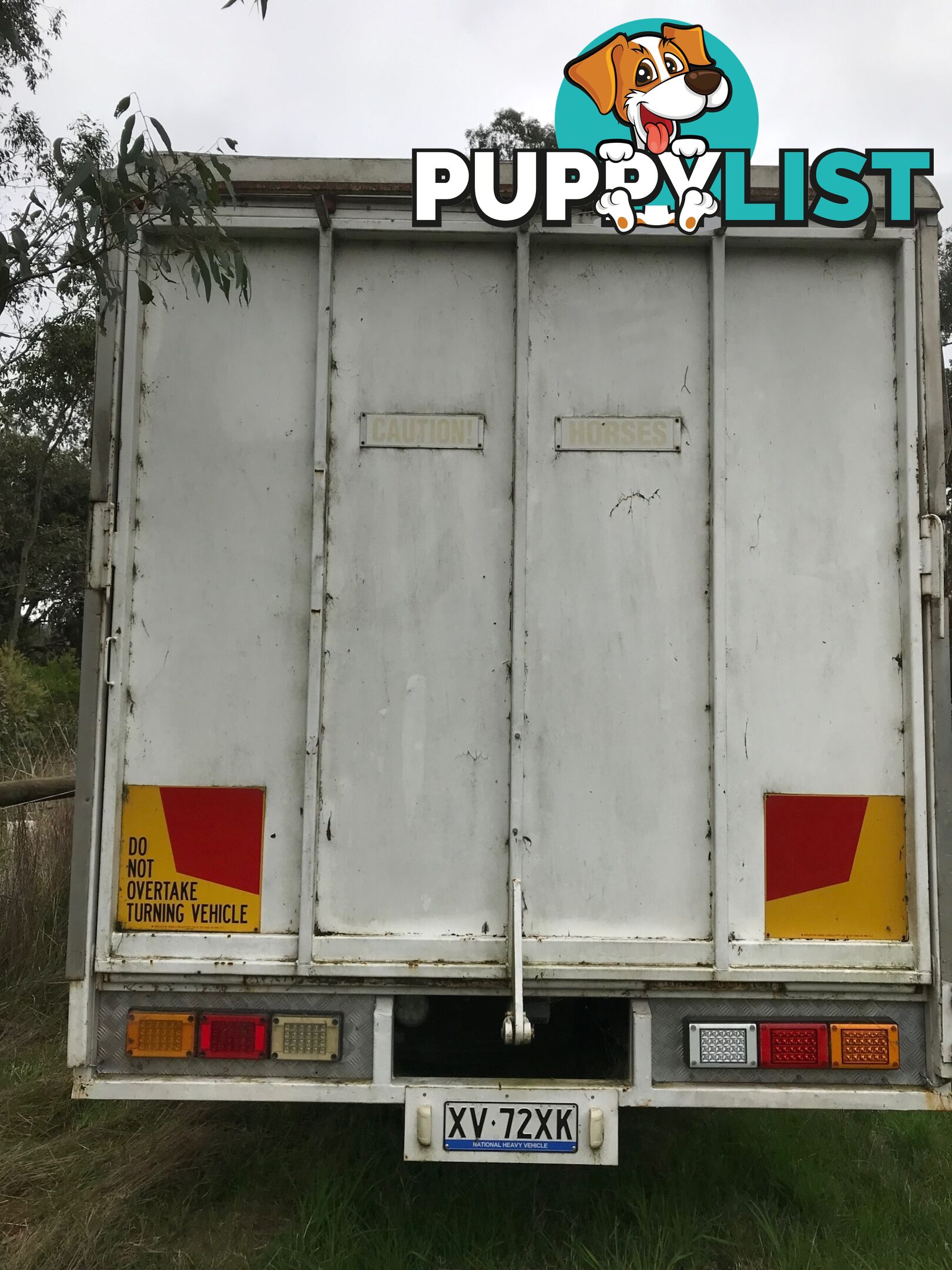 1986 International N Series Horse Truck