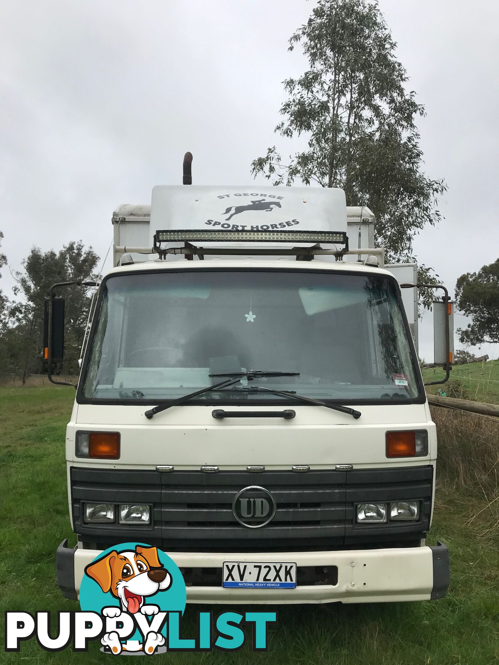 1986 International N Series Horse Truck