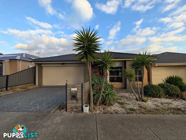 10 Eveline Street CRAIGIEBURN VIC 3064