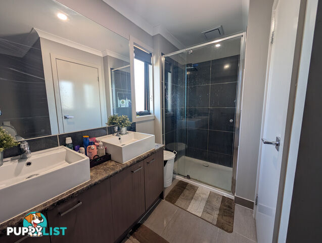 20 Montague Street MICKLEHAM VIC 3064