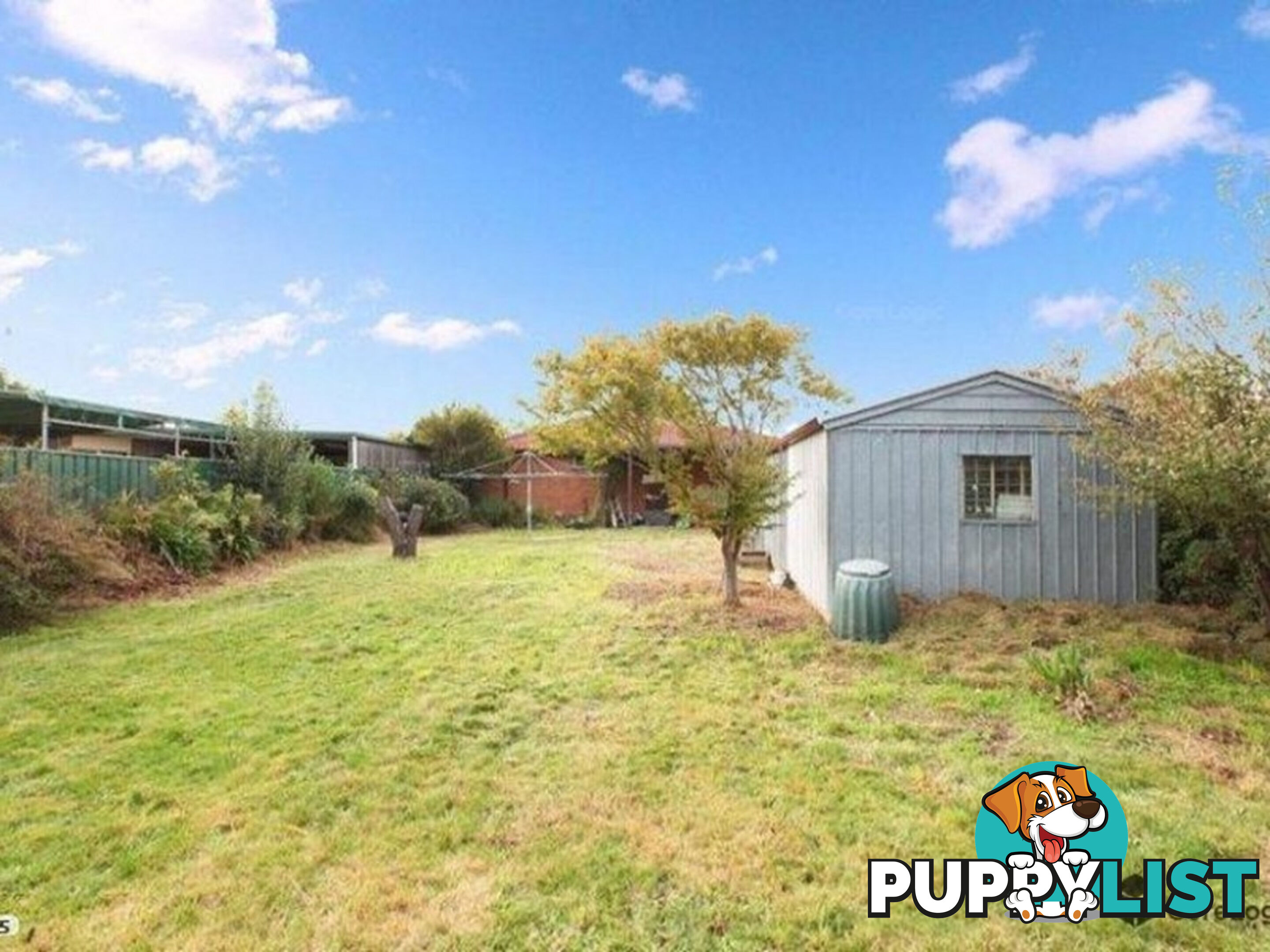 9 Alma Street CRAIGIEBURN VIC 3064