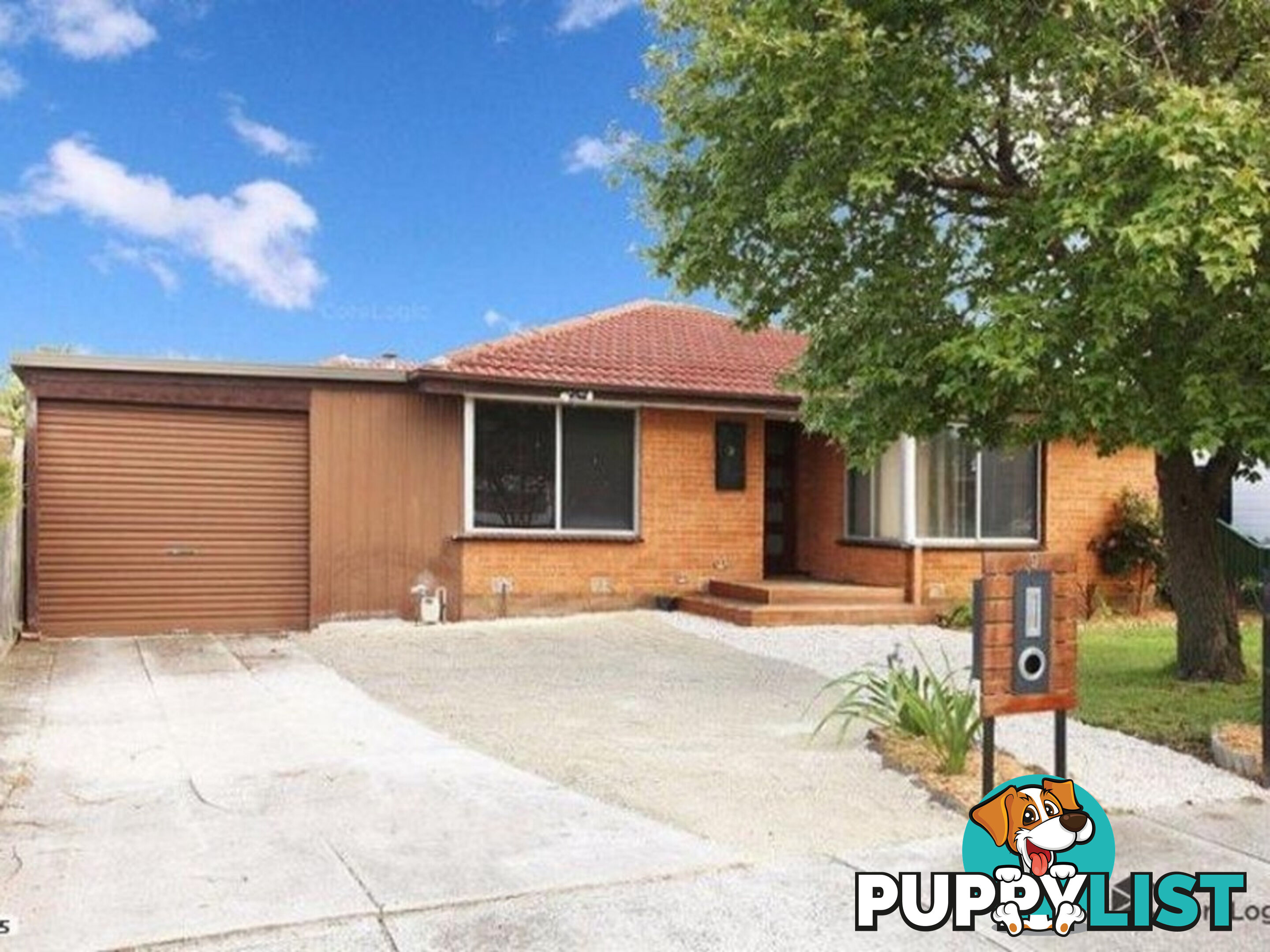 9 Alma Street CRAIGIEBURN VIC 3064